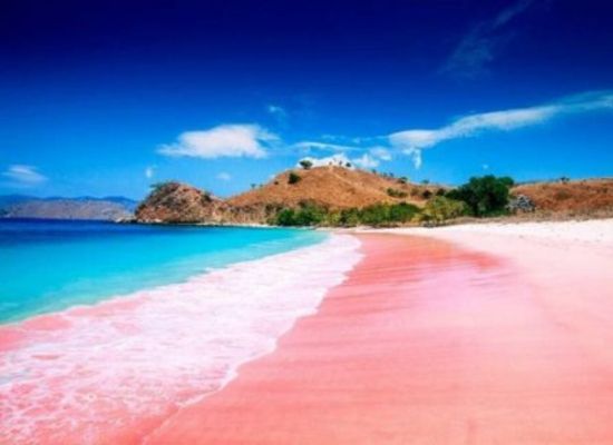 tour package pink beach lombok from gili
